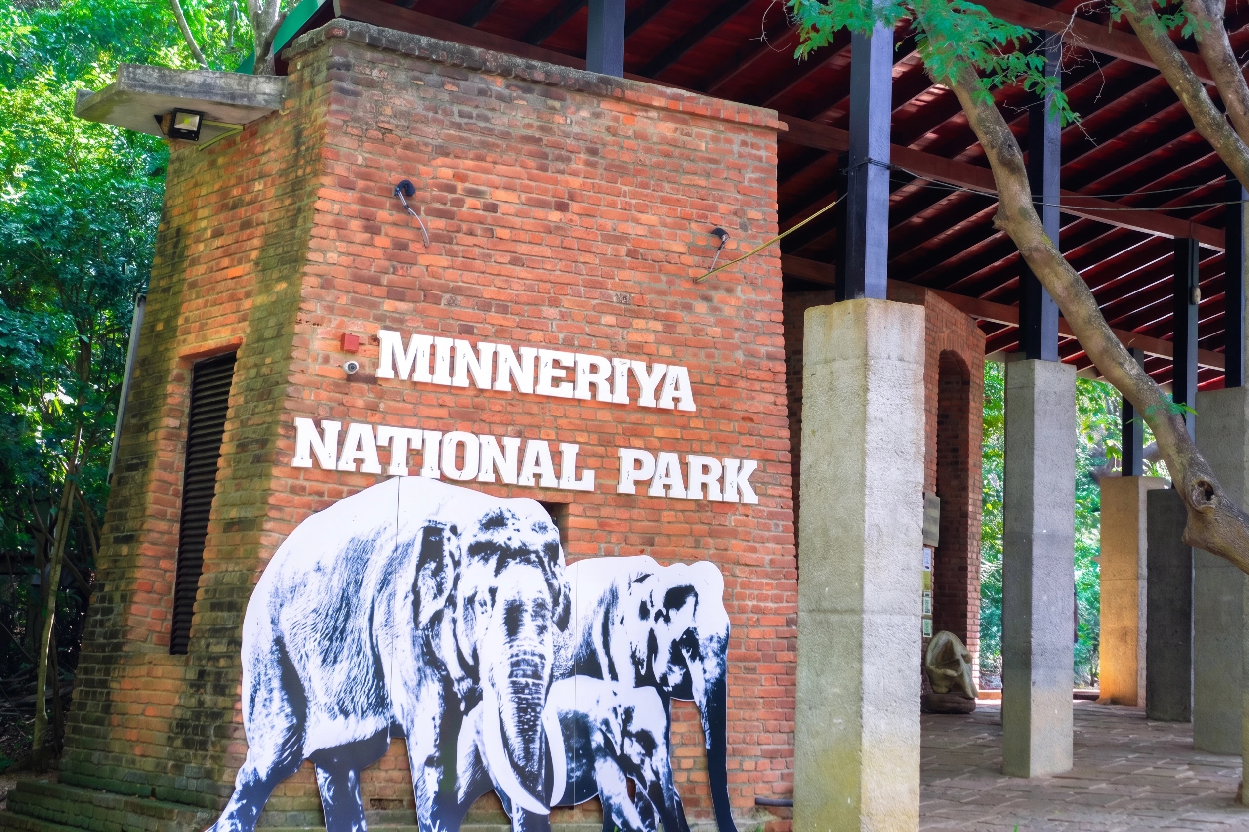 Minneriya National Park Best Safari Jeep Tour photo 1