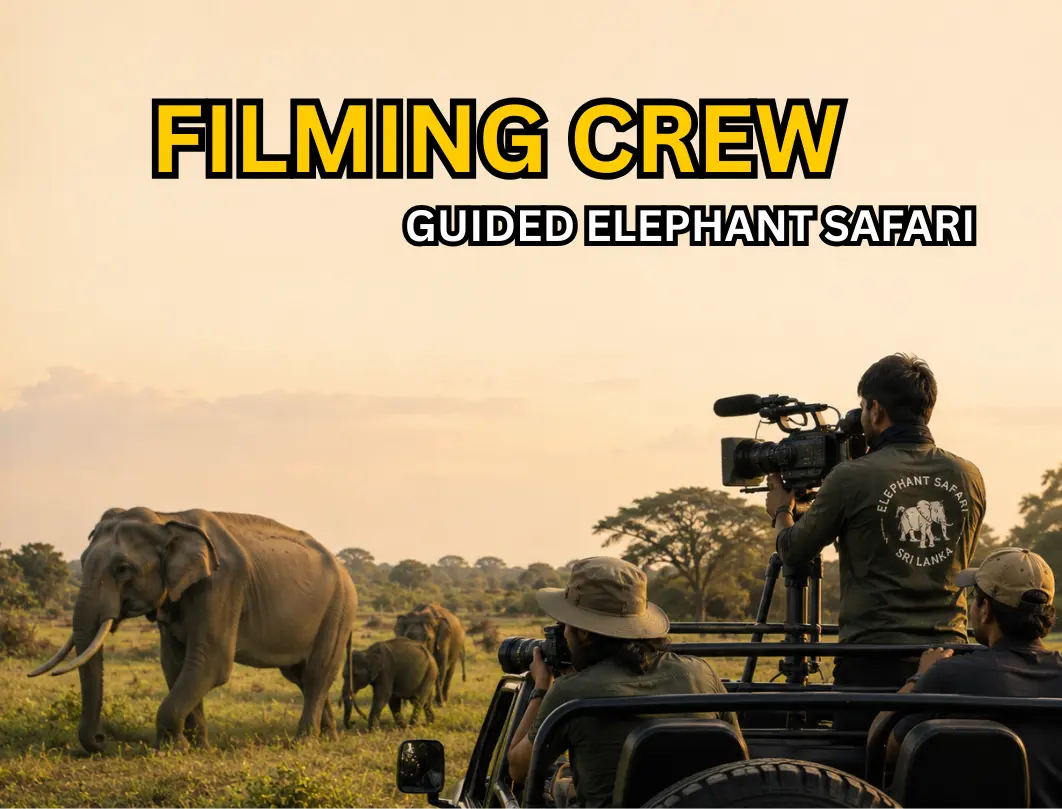 Filming Crew Guided Elephant Safari