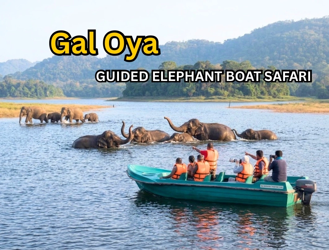 Gal Oya National Park Guided Elephant Boat Safari