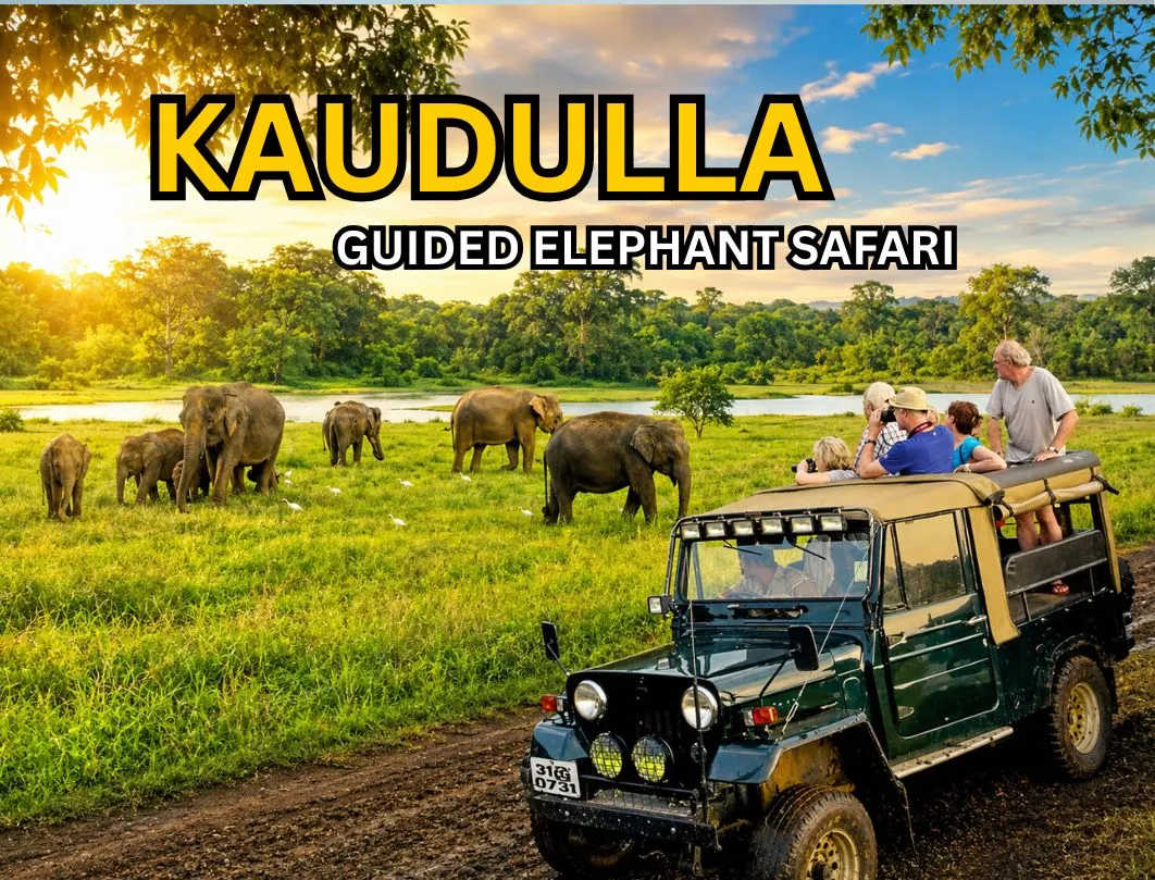 Kaudulla National Park Best Safari Jeep Tour