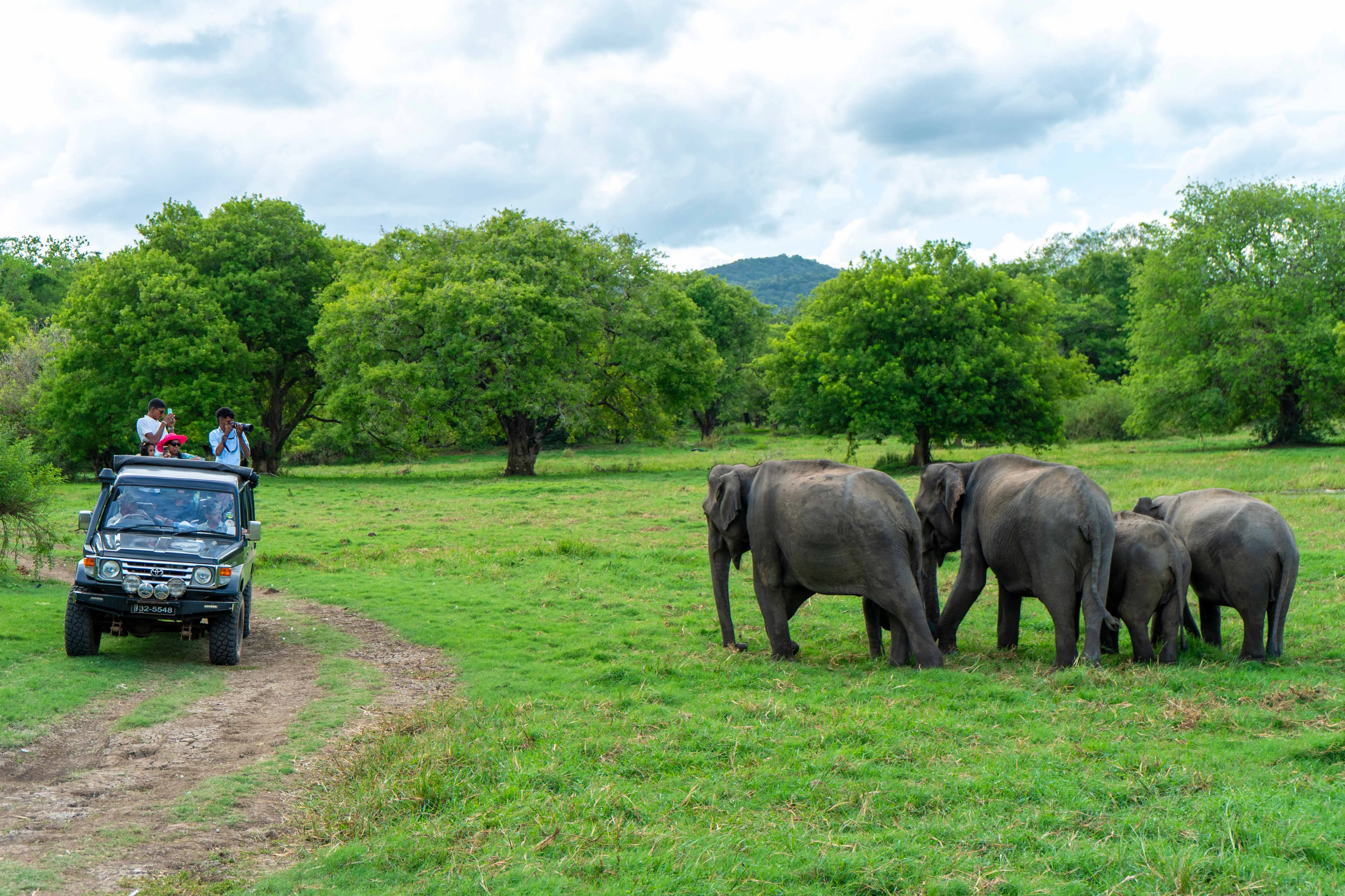 Maduru Oya National Park Wildlife Safari photo 3