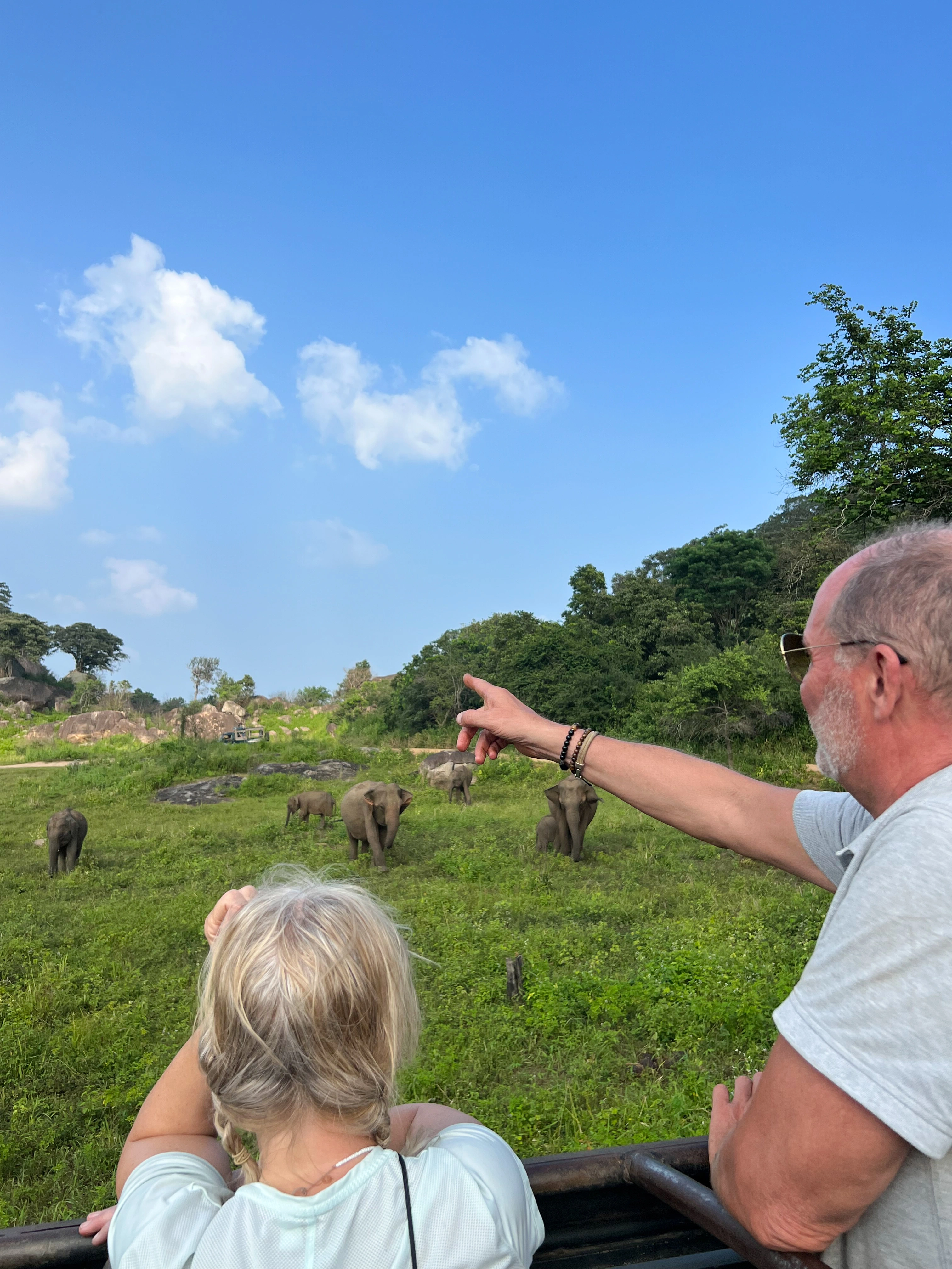 Multi-Day Sri Lankan Elephant Photography & Wildlife Expedition photo 1