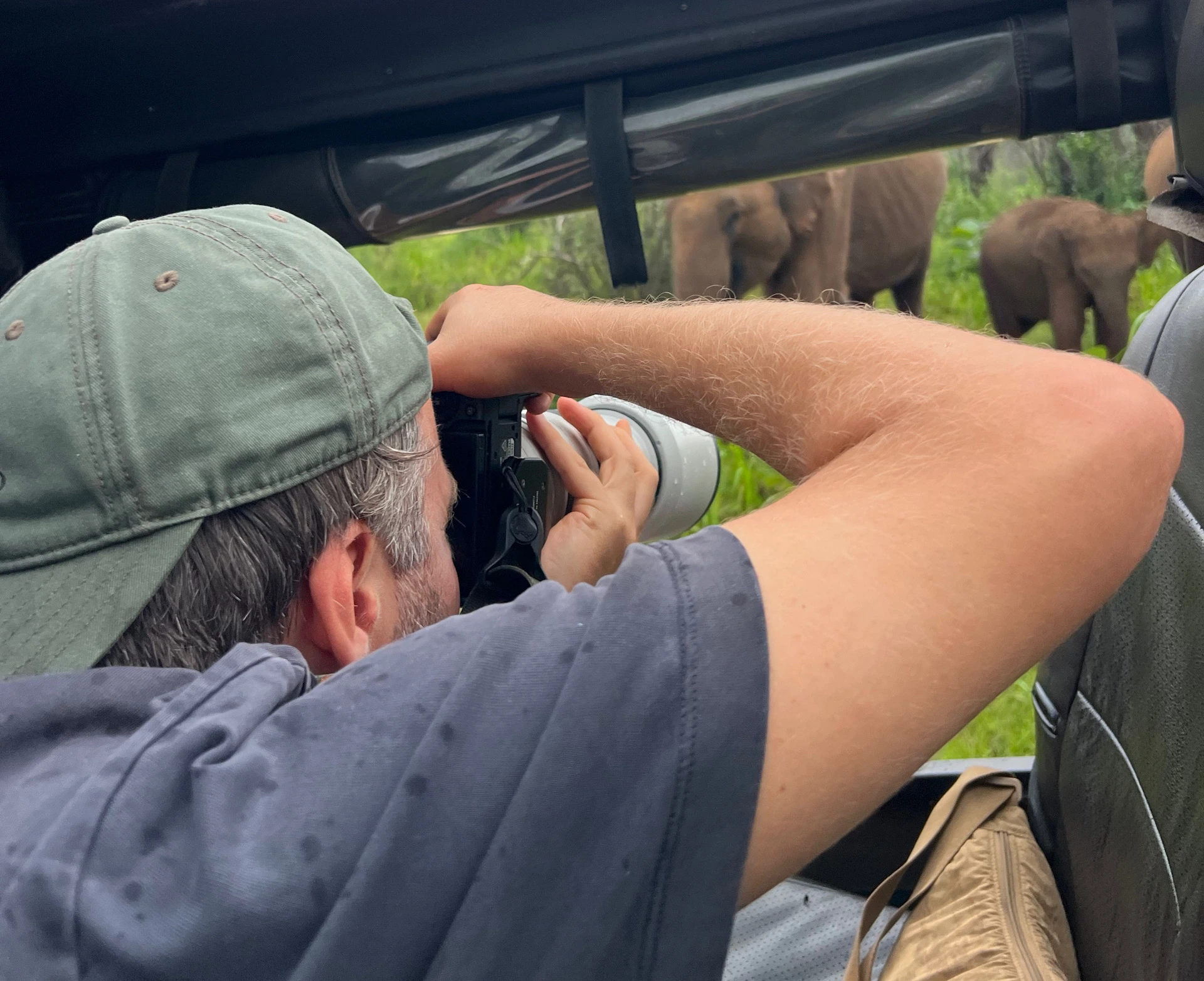 Wasgamuwa National Park Best Elephant Jeep Safari photo 2