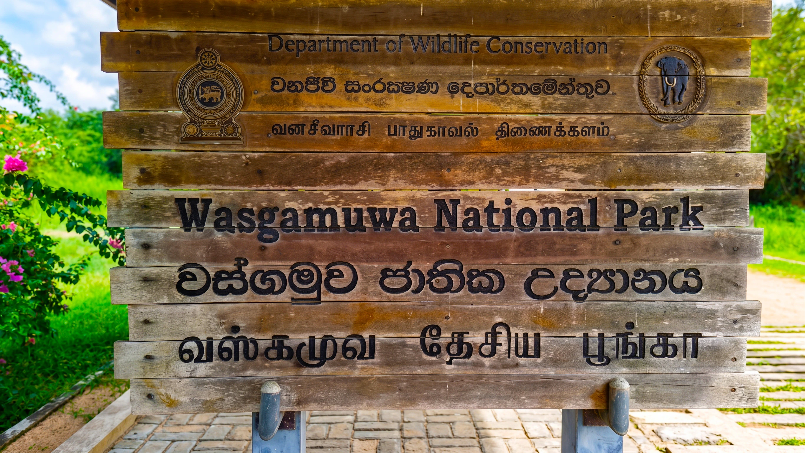 Wasgamuwa National Park Best Elephant Jeep Safari photo 3